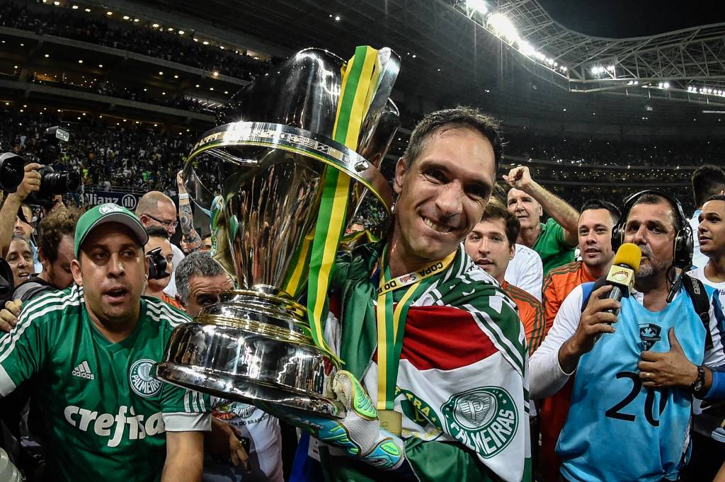 Palmeiras, Campeão da Copa do Brasil 2015