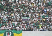 Torcida do Palmeiras no Allianz Parque durante partida da Libertadores da América