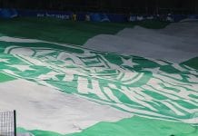 Bandeirão do Palmeiras