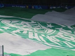 Bandeirão do Palmeiras