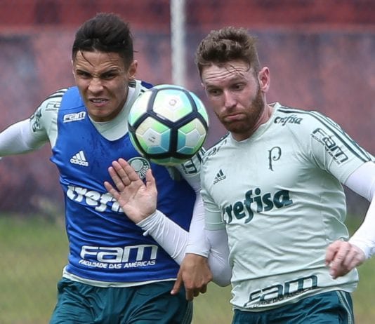 Os jogadores Rapahel Veiga e Fabiano (D), da SE Palmeiras, durante treino, no Centro de treinamento da equipe do Bahia.