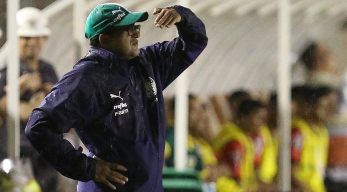 Wesley Carvalho, técnico sub-20 do Palmeiras