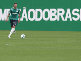 Antônio Carlos, no Palmeiras