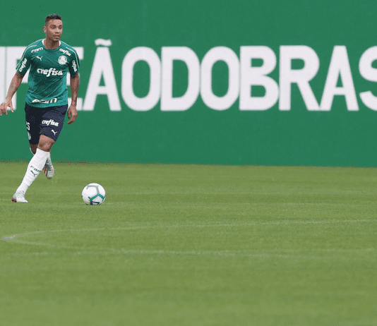 Antônio Carlos, no Palmeiras