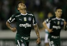 O jogador Dudu, da SE Palmeiras, comemora seu gol contra a equipe do Goiás EC, durante partida válida pela trigésima sétima rodada, do Campeonato Brasileiro, Série A, no Estádio Brinco de Ouro da Princesa.