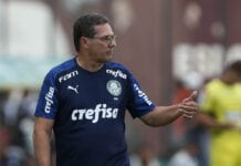Palmeiras deve ter novidades na próxima rodada
