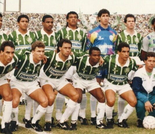 Palmeiras de 1993.