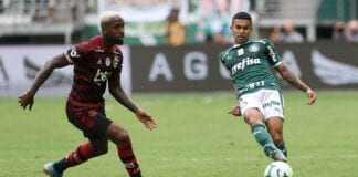 Palmeiras enfrenta o Flamengo