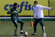 Gomez, zagueiro do Palmeiras.