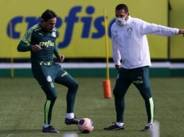 Gomez, zagueiro do Palmeiras.