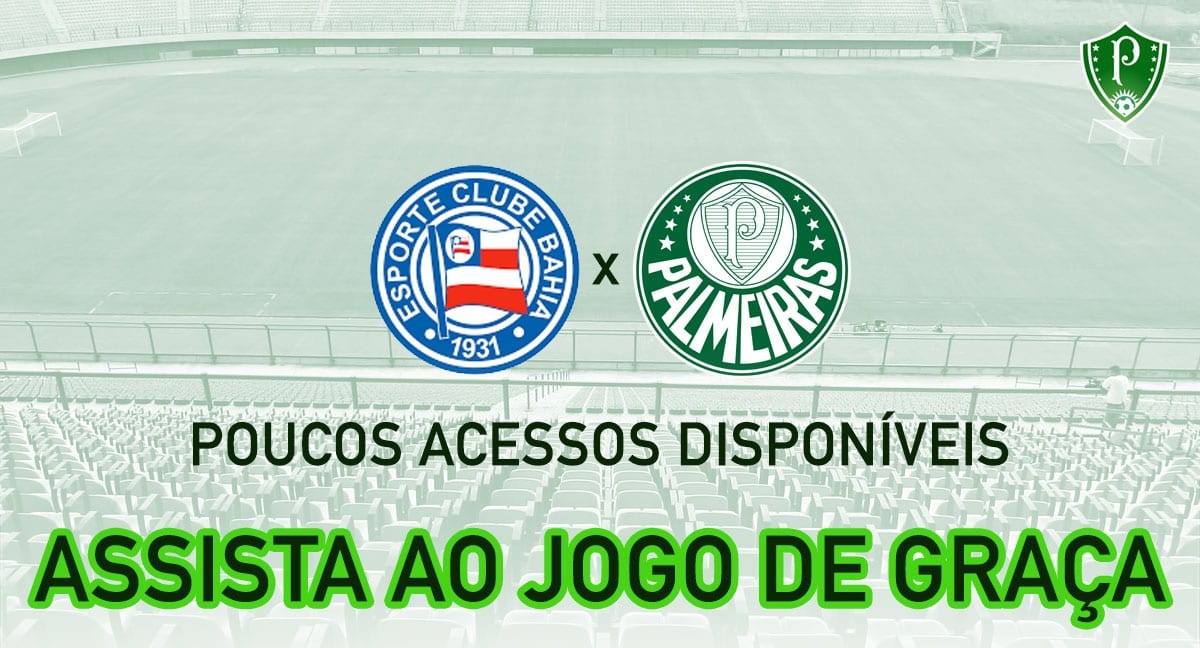 Campeonato Brasileiro: como assistir Bahia x Palmeiras online