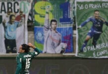O jogador Gustavo Gómez, da SE Palmeiras, comemora seu gol contra a equipe do Goiás EC, durante partida válida pela terceira rodada, do Campeonato Brasileiro, Série A, na arena Allianz Parque. (Foto: Cesar Greco)