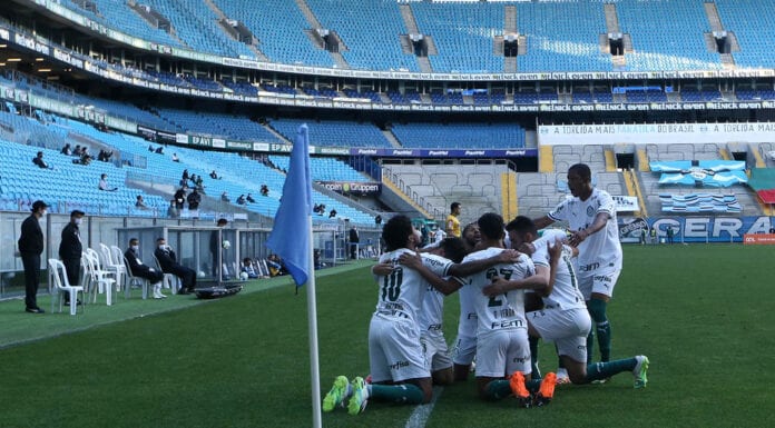 Palmeirenses comemoram gol do Palmeiras em Porto Alegre.