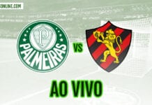 Palmeiras x Sport | Veja como assistir ao jogo ao vivo