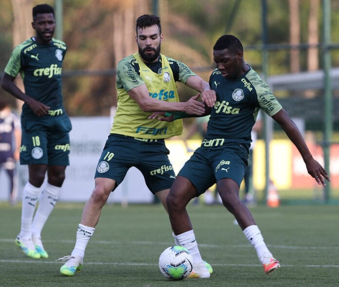 Patrick de Paula é a novidade na reapresentação do Palmeiras