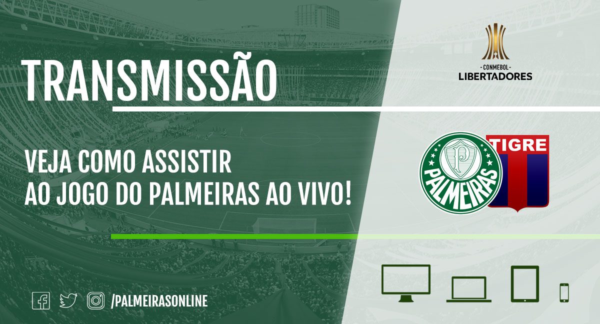 Palmeiras X Tigre Veja Como Assistir Ao Jogo Ao Vivo Pela Tv