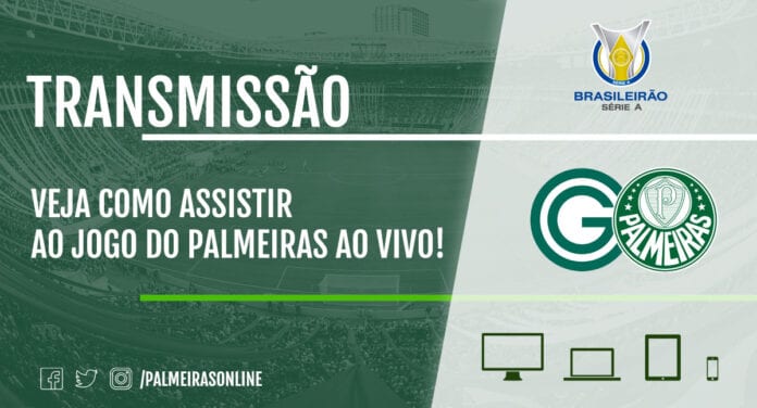 Palmeiras x Goiás: veja como assistir ao jogo ao vivo online