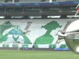 Torcida do Palmeiras faz mosaico no Allianz Parque