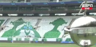 Torcida do Palmeiras faz mosaico no Allianz Parque