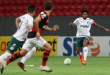 O jogador Luiz Adriano, da SE Palmeiras, em jogo contra a equipe do CR Flamengo, durante partida válida pela trigésima primeira rodada, do Campeonato Brasileiro, Série A, no Estádio Mané Garrincha. (Foto: Cesar Greco)