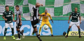 O goleiro Weverton, da SE Palmeiras, em jogo contra a equipe do Botafogo FR, durante partida válida pela trigésima quarta rodada, do Campeonato Brasileiro, Série A, na arena Allianz Parque. (Foto: Cesar Greco)