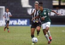 Palestrinas golearam o Botafogo, fora de casa, na quarta rodada do Brasileirão (Foto: Vítor Silva/Botafogo)