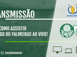 Palmeiras x América-MG | Veja onde assistir ao jogo ao vivo