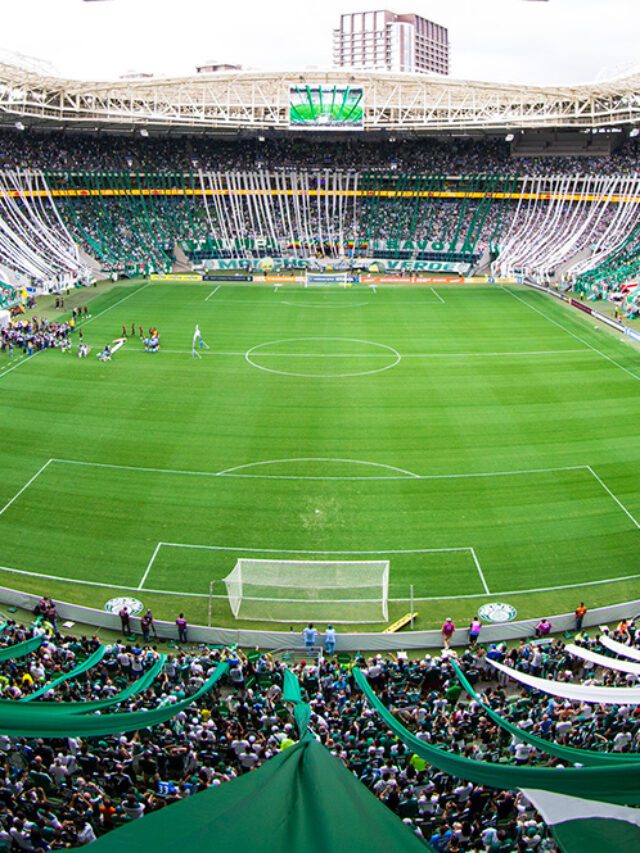 Palmeiras Online | As últimas do Palmeiras