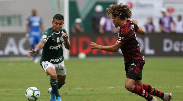 Dudu em disputa de bola com Willian Arão, do Flamengo, em jogo válido pelo Campeonato Brasileiro, no Allianz Parque (Foto: Cesar Greco)