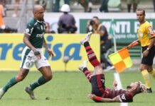 Felipe Melo em disputa de bola com Gabriel Barbosa, do Flamengo, em jogo válido pelo Campeonato Brasileiro, no Allianz Parque (Foto: Cesar Greco)