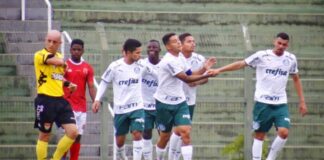 O capitão Pedro Bicalho marcou os dois gols alviverdes no duelo (Foto: Pedro Almeida/União Mogi)