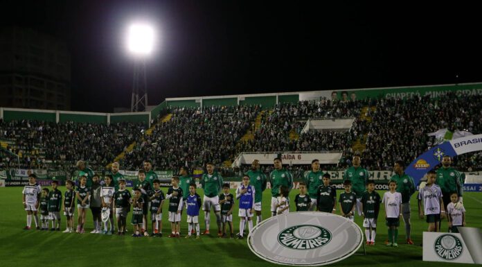 O time do Palmeiras em jogo contra a Chapecoense durante o Campeonato Brasileiro de 2019 (Foto: Cesar Greco)