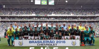 Palmeiras e Chapecoense trazem momentos marcantes nos últimos anos (Foto: Cesar Greco/Palmeiras)