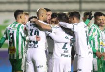 Palmeiras venceu o Juventude no 1º turno do Campeonato Brasileiro por 3 a 0, no estádio Alfredo Jaconi (Foto: Cesar Greco)