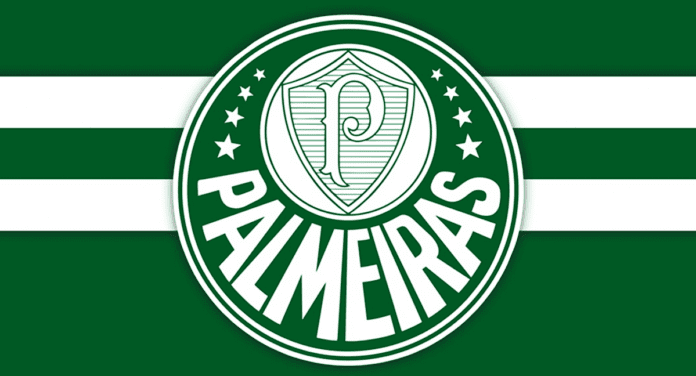 Palmeiras é o melhor time do Brasil. #palmeiras #palmeirasnotiktok #p