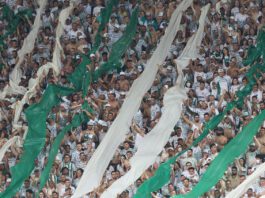 Torcida no Allianz Parque - Palmeiras