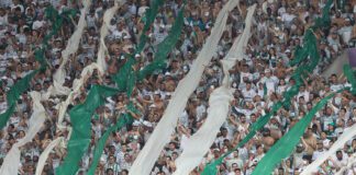 Torcida no Allianz Parque - Palmeiras