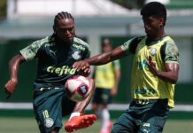 Os jogadores Luiz Adriano e Newton (D), da SE Palmeiras, durante treinamento, na Academia de Futebol. (Foto: Cesar Greco)