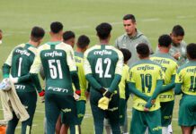 Os atletas da SE Palmeiras, durante treinamento na Academia de Futebol, em São Paulo-SP. (Foto: Fabio Menotti)