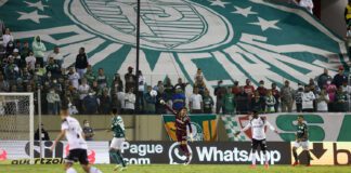 Partida entre SE Palmeiras e Ceará, válida pela trigésima oitava rodada, do Campeonato Brasileiro, Série A, na Arena Barueri, em Barueri-SP . (Foto: Fabio Menotti)