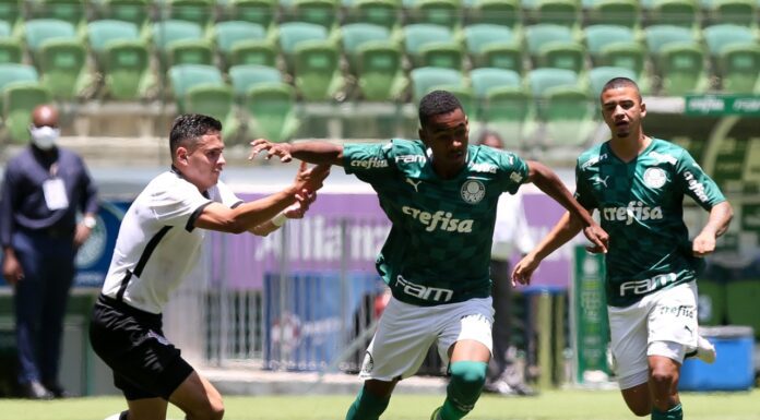 Allan, atacante da S.E. Palmeiras, terminou a temporada com 24 gols marcados. (Foto: Fabio Menotti)