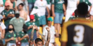 O jogador Dudu, da SE Palmeiras, comemora seu gol contra a equipe do G Novorizontino, durante partida válida pela fase de grupos, do Campeonato Paulista, Série A1, no Estádio Dr. Jorge Ismael de Biase. (Foto: Cesar Greco)