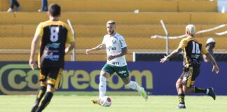 Palmeiras vence Novorizontino na estreia do Paulista (foto: Divulgação/Palmeiras)