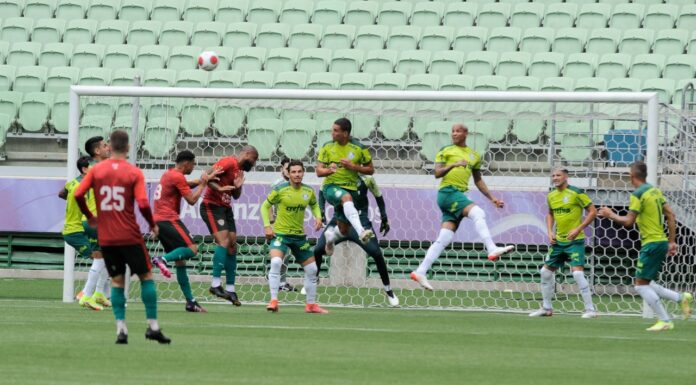 A Portuguesa bateu o Palmeiras pelo placar de 2 a 1 (Foto: Divulgação)