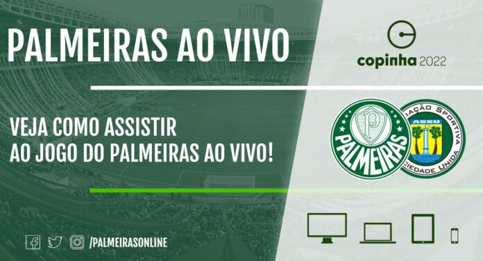 Jogo do Palmeiras hoje: onde assistir ao vivo