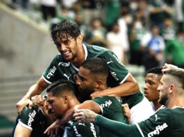Jogadores do Palmeiras comemorando gol da vitória sobre o Água Santa no Paulista (Foto: Alexandre Battibugli/Ag. Paulistão)