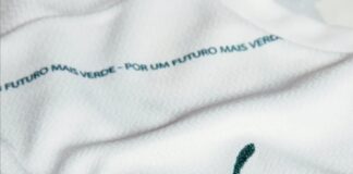 Camisa 2 do Palmeiras