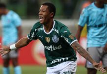 O jogador Danilo, da SE Palmeiras, comemorando seu gol na partida contra o Emelec, pela fase de grupos da Libertadores, no Allianz Parque. (Foto: César Greco)
