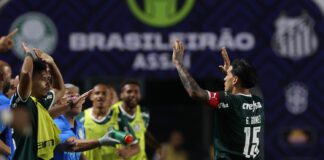 O jogador Gustavo Gómez comemorando seu gol na partida contra o Santos, pela Série A do Campeonato Brasileiro, na Vila Belmiro. (Foto: César Greco)