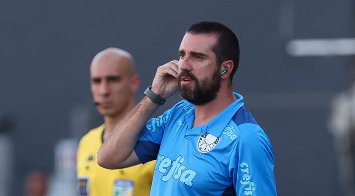 O auxiliar técnico João Martins, da SE Palmeiras, durante partida contra o Santos, na Vila Belmiro, pela Série A do Campeonato Brasileiro. (Foto: César Greco)